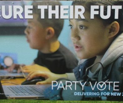 2017-National-PartyVote-SecureFuture2-768x382